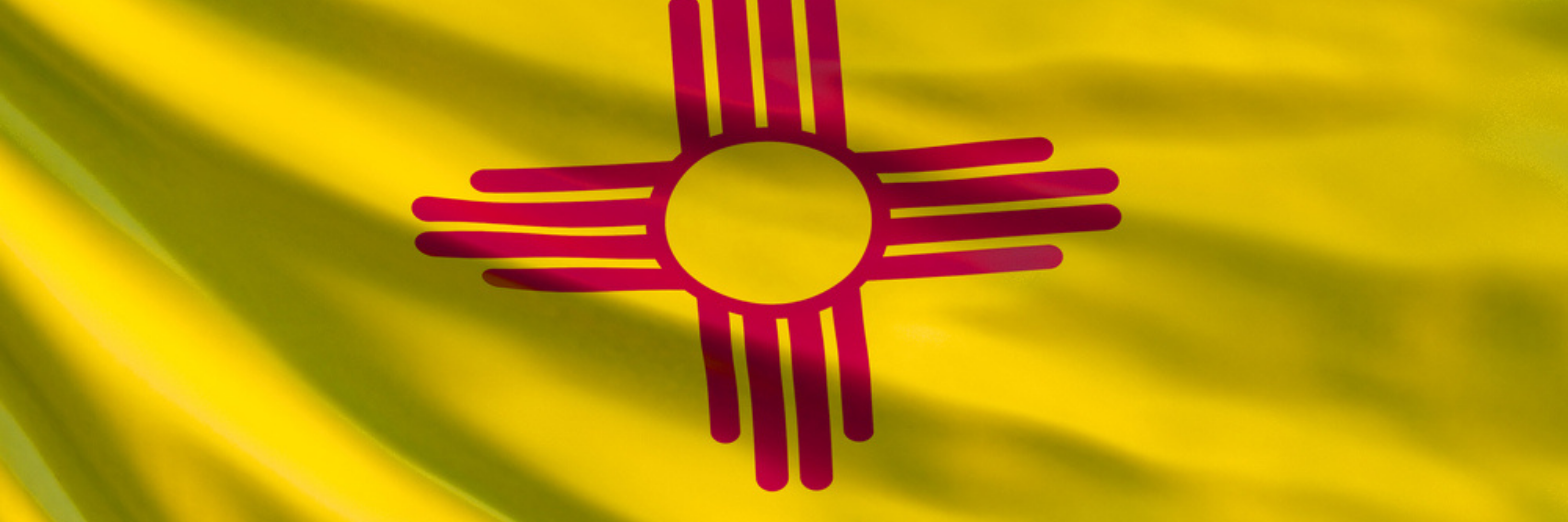 New Mexico Judge Watch