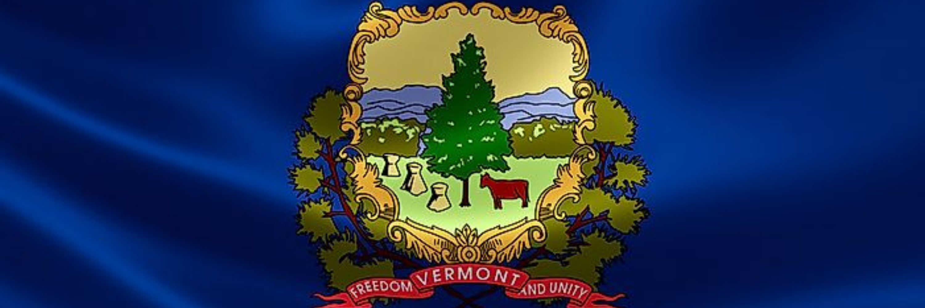 Vermont Judge Watch